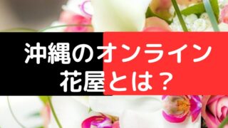 胡蝶蘭配達専門店│沖縄のオンライン花屋アレンジマニア