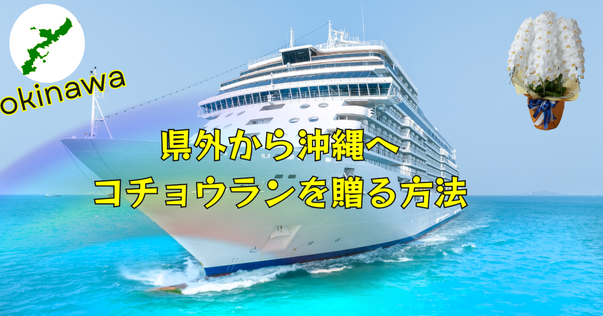 沖縄へ県外から胡蝶蘭を贈る際の配送方法を案内するクルーズ船背景の説明画像
