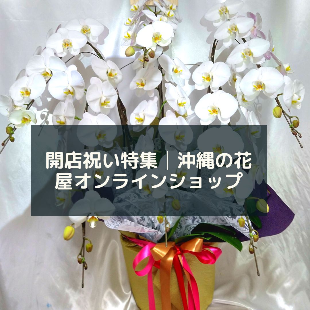 開店祝い│沖縄のオンライン花屋・胡蝶蘭配達専門店