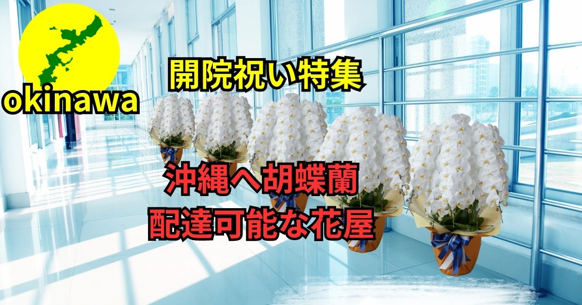 開院祝い│沖縄のオンライン花屋・胡蝶蘭配達専門店
