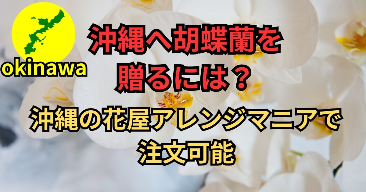 開院祝い│沖縄のオンライン花屋・胡蝶蘭配達専門店
