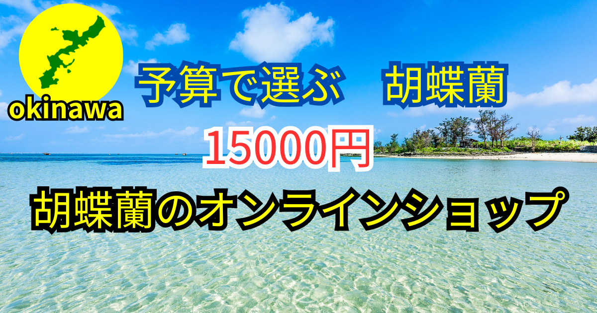 予算で選ぶ15000円│沖縄のオンライン花屋・胡蝶蘭配達専門店