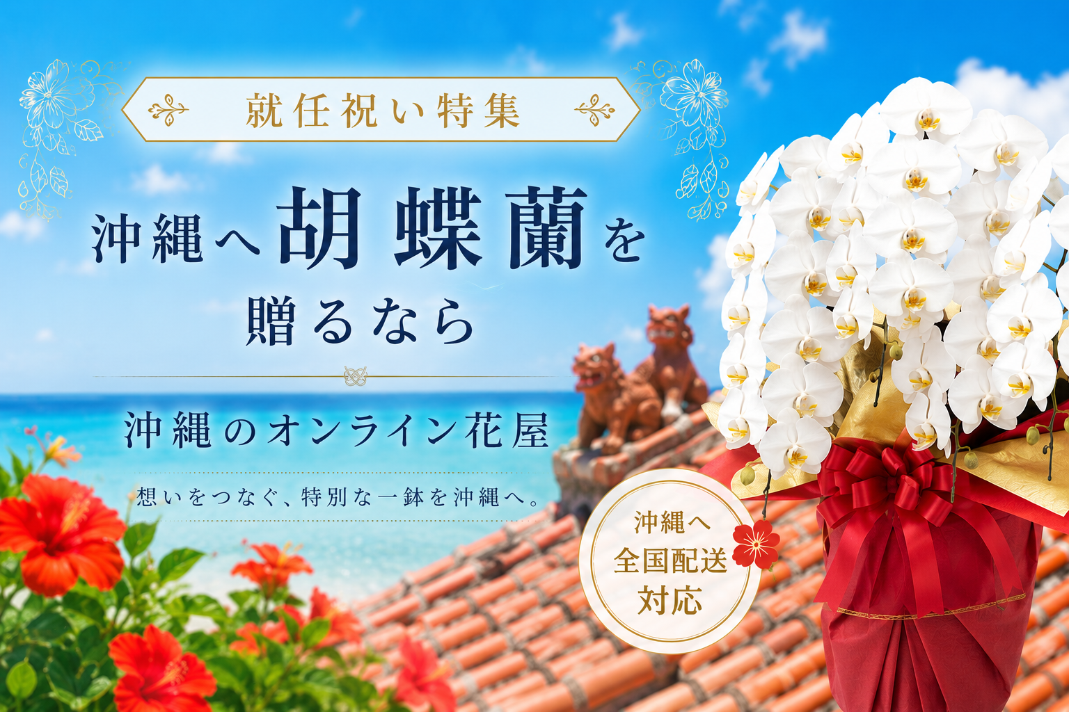 沖縄の海を背景にした就任祝い特集の胡蝶蘭アイキャッチ画像｜沖縄へ贈る高級胡蝶蘭ギフト