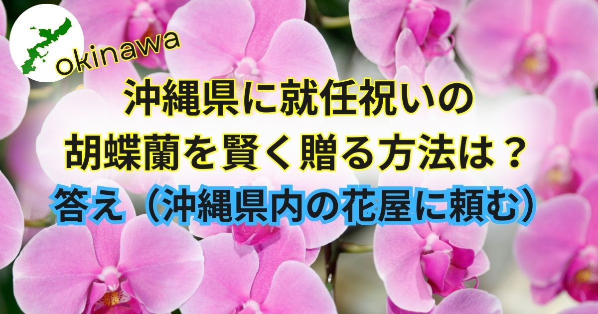 就任祝い│沖縄のオンライン花屋・胡蝶蘭配達専門店