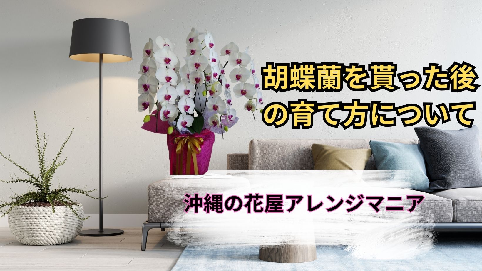 胡蝶蘭貰った後は？沖縄のオンライン花屋・胡蝶蘭配達専門店