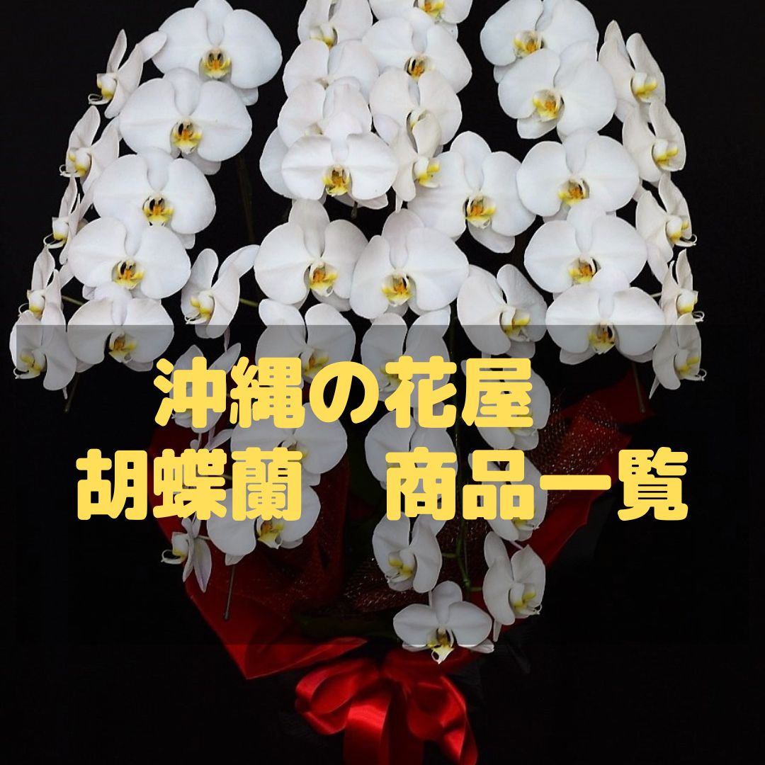 開院祝い│沖縄のオンライン花屋・胡蝶蘭配達専門店