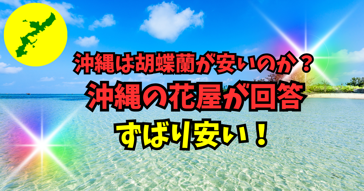 沖縄のオンライン花屋・胡蝶蘭配達専門店