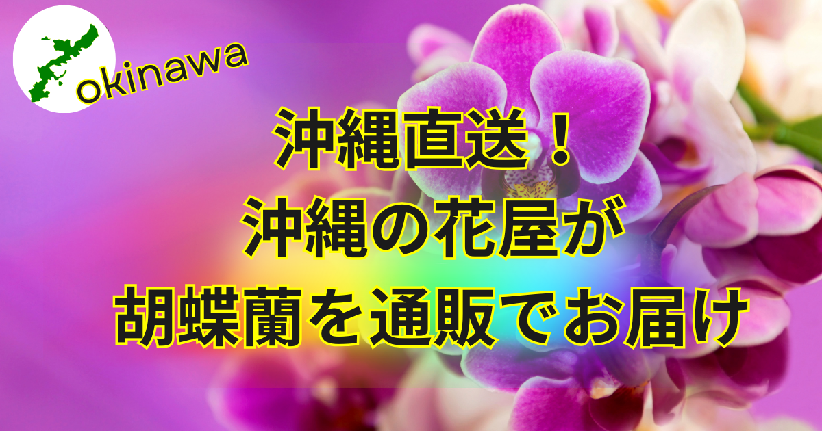 法人対応│沖縄のオンライン花屋・胡蝶蘭配達専門店