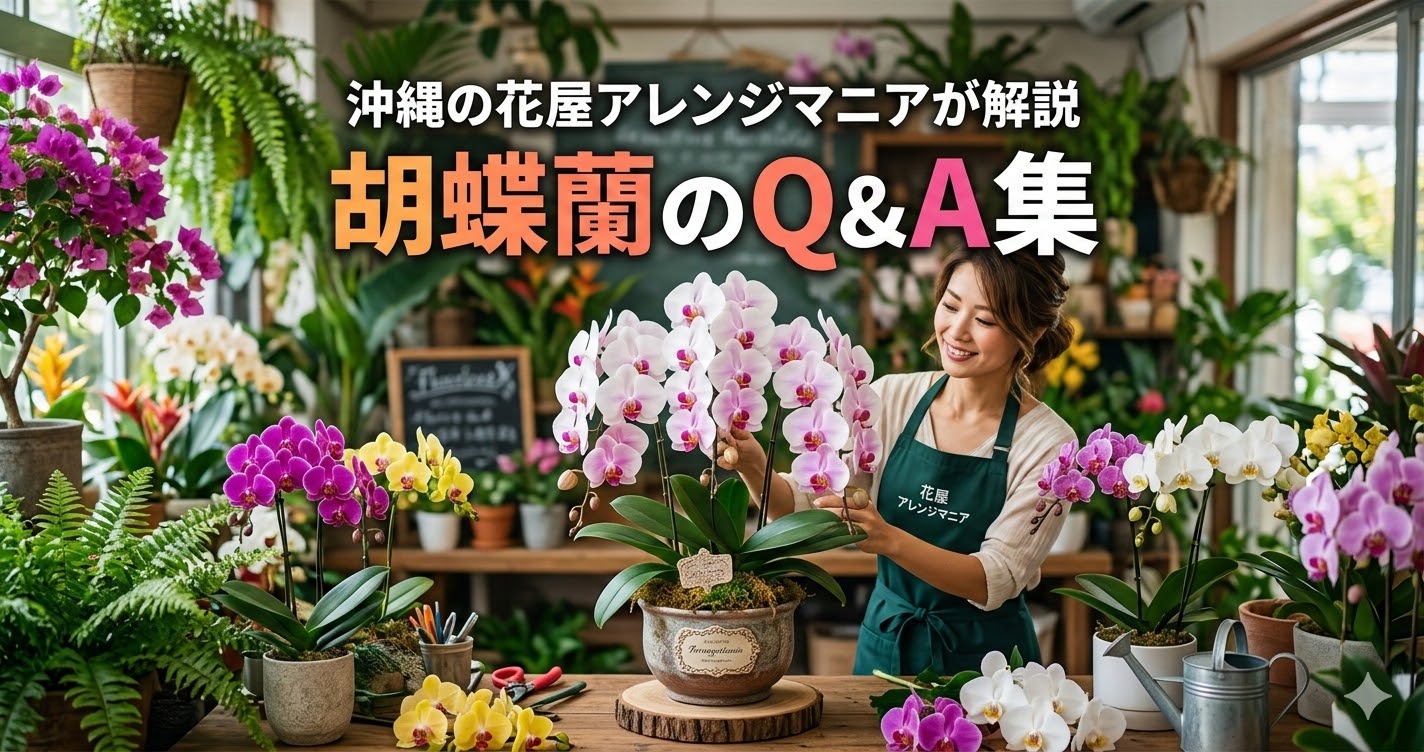 沖縄の花屋アレンジマニアが解説する胡蝶蘭Q&A集｜開店祝い・就任祝いに人気の胡蝶蘭の選び方