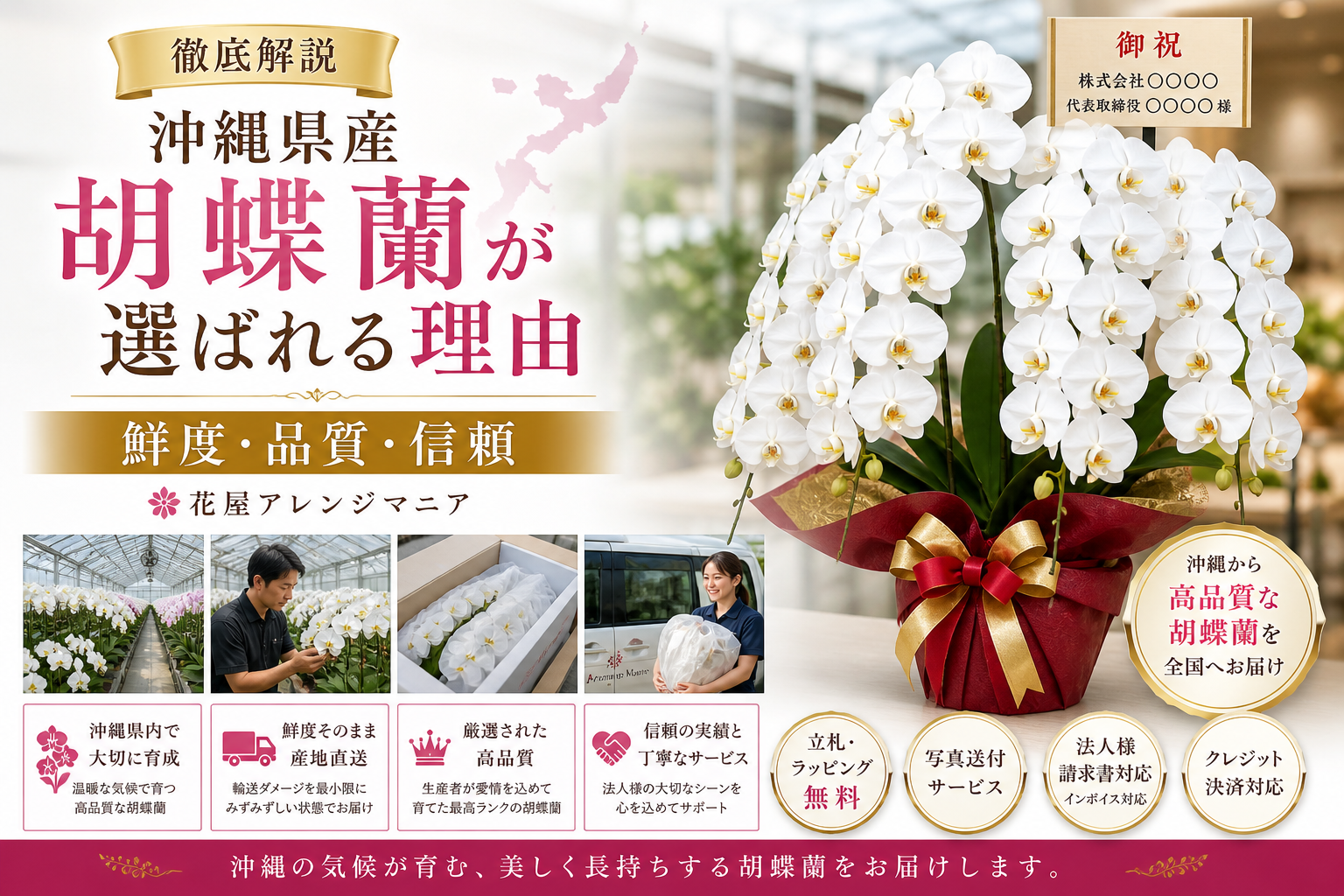 沖縄県産胡蝶蘭が選ばれる理由｜鮮度が高く品質に優れた法人向け高級胡蝶蘭の配達サービス