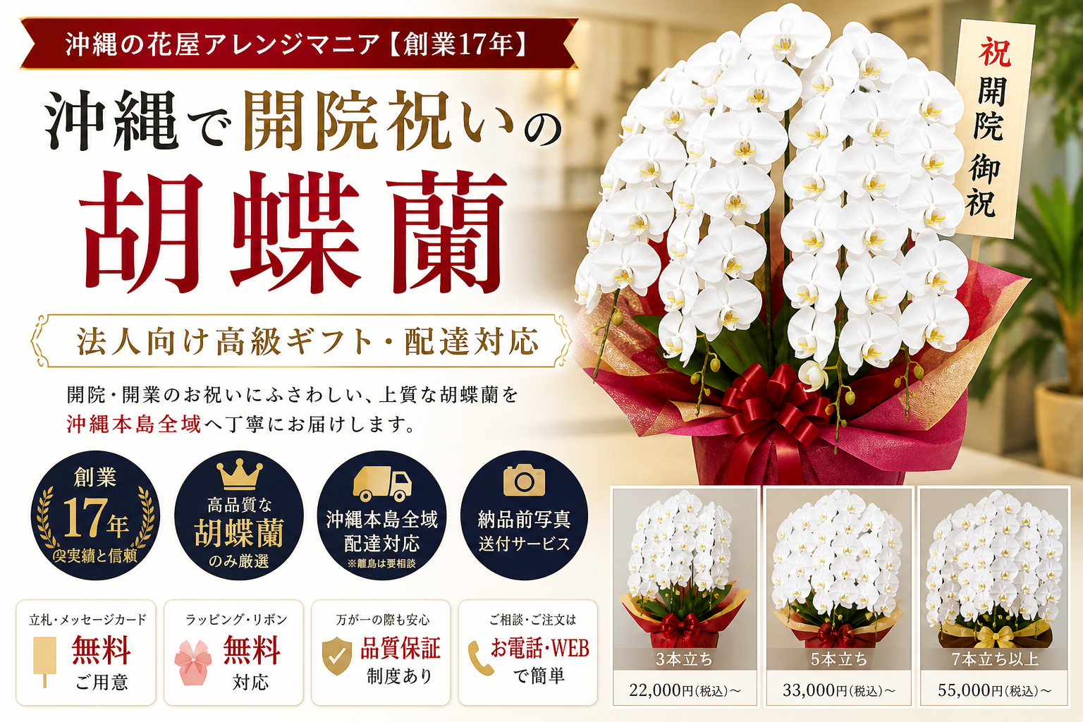 沖縄で開院祝いに贈る胡蝶蘭｜法人向け高級ギフト・配達対応の白大輪胡蝶蘭