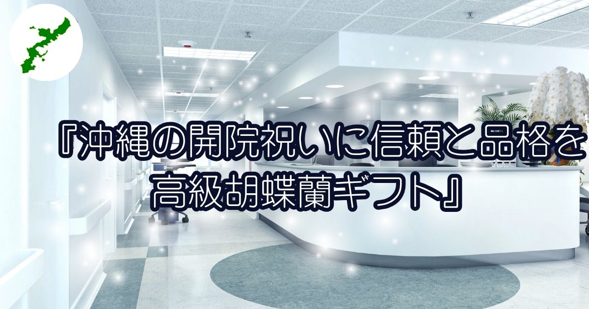 沖縄での開院祝いに贈る白胡蝶蘭5本立ち・法人向け高級ギフトとして人気