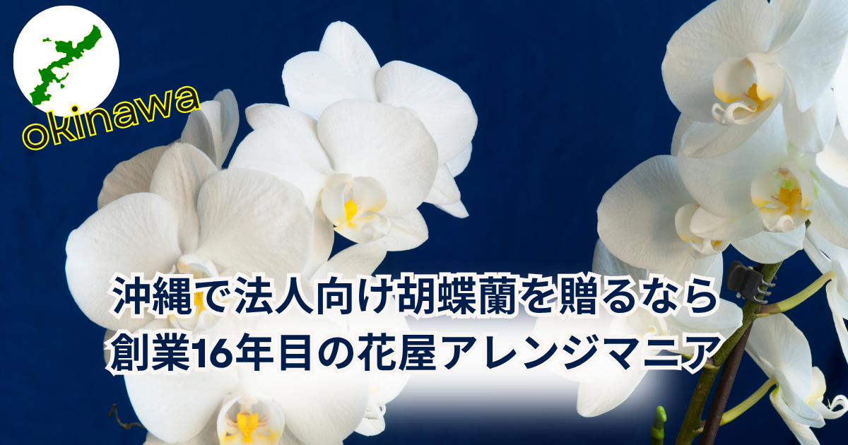 法人向け胡蝶蘭を沖縄で贈るならアレンジマニア｜信頼と実績の花屋（創業16年）