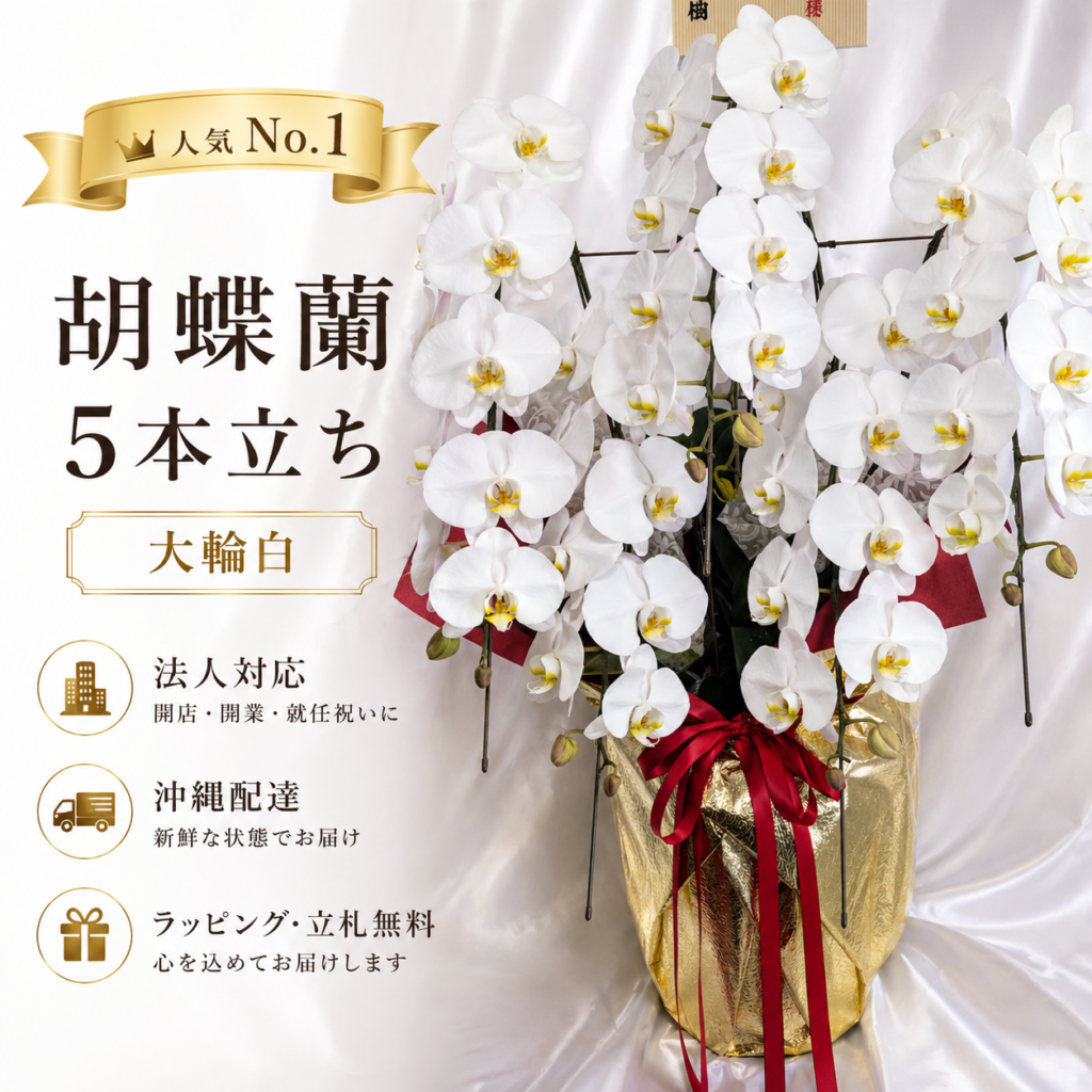 沖縄配達対応の胡蝶蘭5本立ち大輪白｜法人向け開店祝い・就任祝いに人気の豪華フラワーギフト