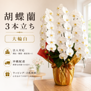 沖縄で胡蝶蘭の配達|請求書対応・写真送付サービス付きで安心配達の高級胡蝶蘭
