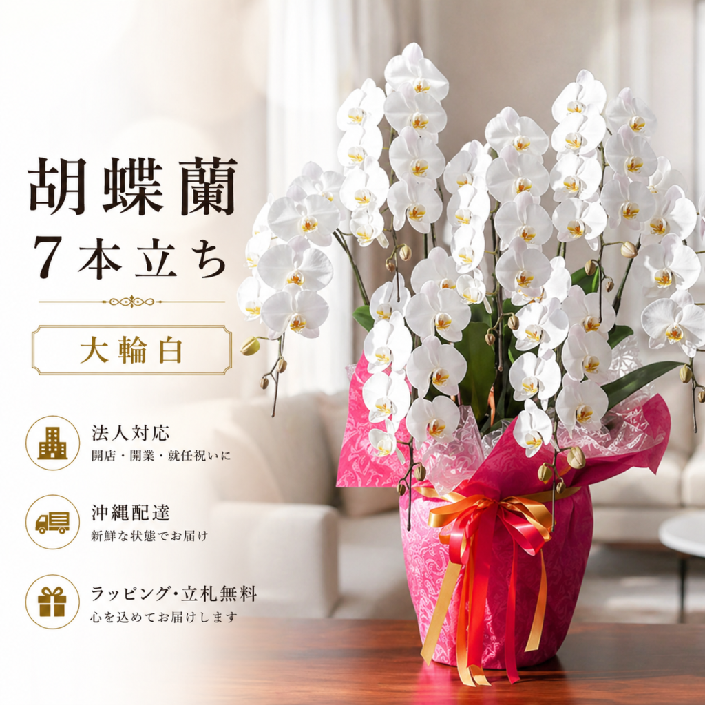 沖縄配達対応の胡蝶蘭7本立ち大輪白｜法人向け開店祝い・就任祝いに人気の豪華フラワーギフト