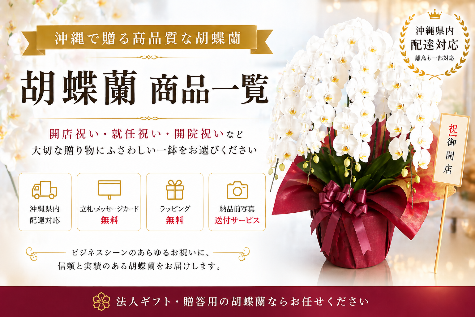 胡蝶蘭商品一覧