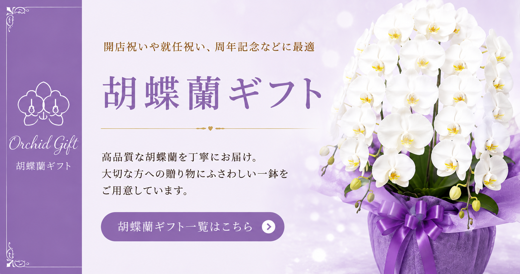 沖縄の胡蝶蘭ギフト一覧｜開店祝い・就任祝い・周年祝い対応