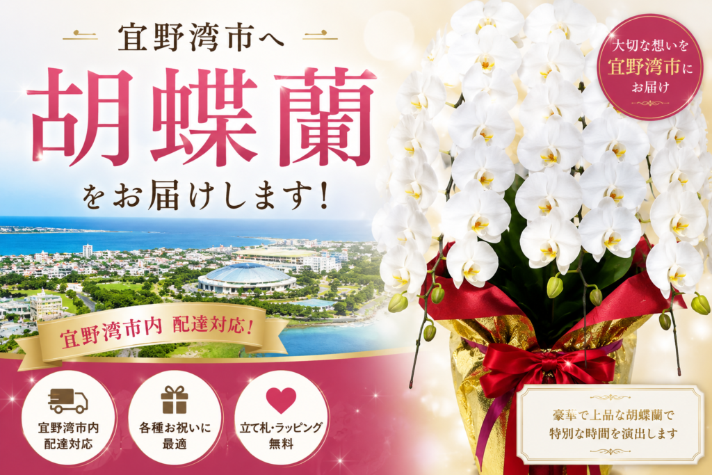 宜野湾市へ胡蝶蘭を配達する沖縄の花屋アレンジマニア｜開店祝い・就任祝い向け大輪白胡蝶蘭5本立ち