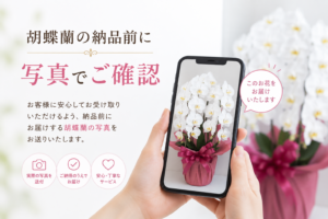 胡蝶蘭の納品前写真確認サービス｜スマホで事前に確認できる沖縄の花屋アレンジマニアの安心対応