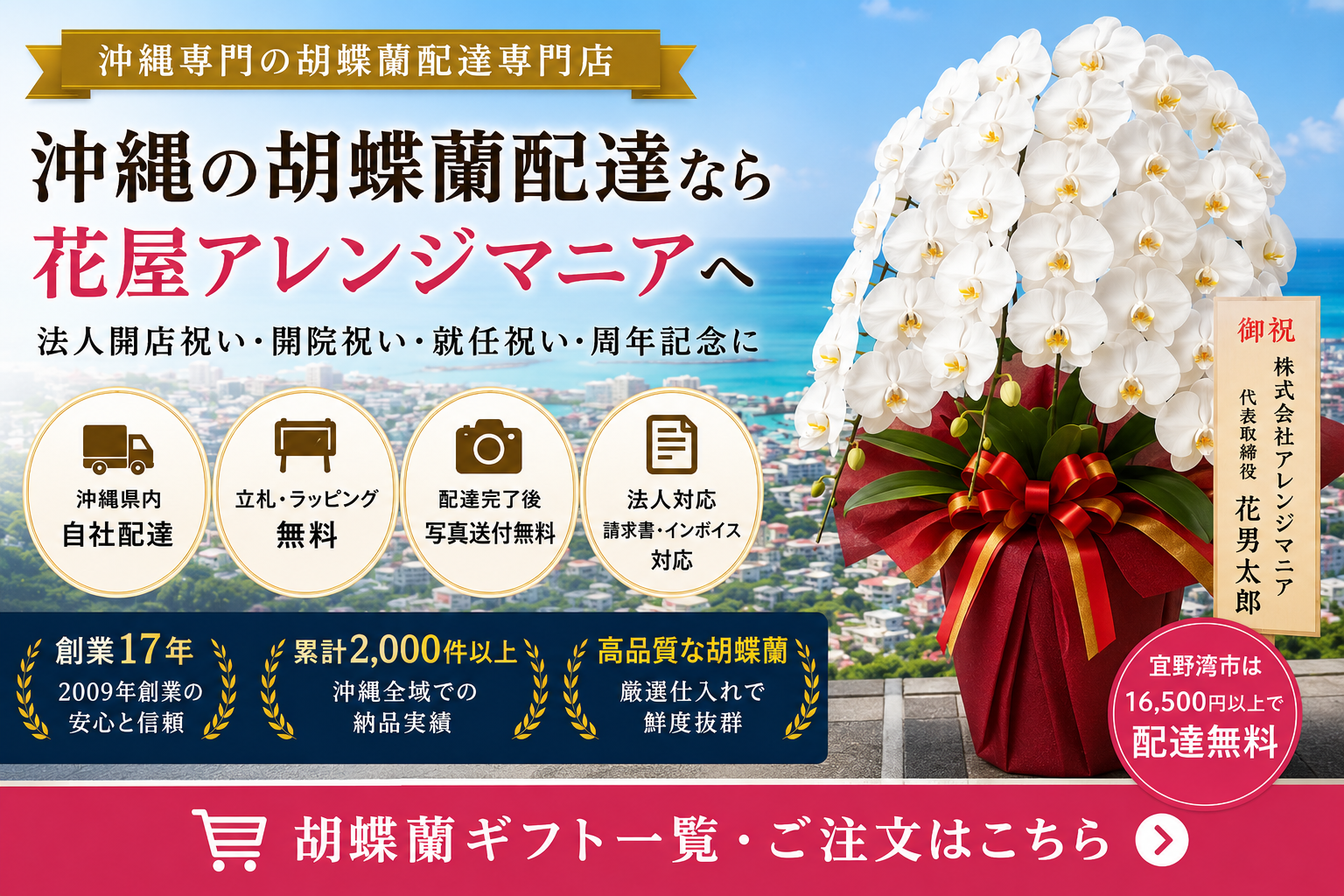 沖縄の胡蝶蘭配達なら花屋アレンジマニア｜宜野湾市の法人開店祝い・開院祝い向け白胡蝶蘭