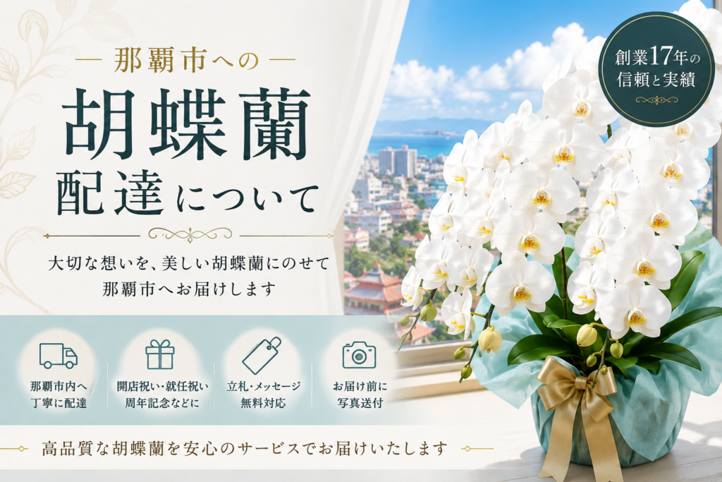那覇市への胡蝶蘭配達サービス|開店祝い・就任祝い・周年記念に人気の白胡蝶蘭を沖縄の花屋アレンジマニアが配達