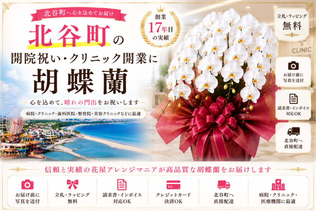 北谷町の開院祝い・クリニック開業に胡蝶蘭|病院・歯科医院・美容クリニック向け高級胡蝶蘭配達