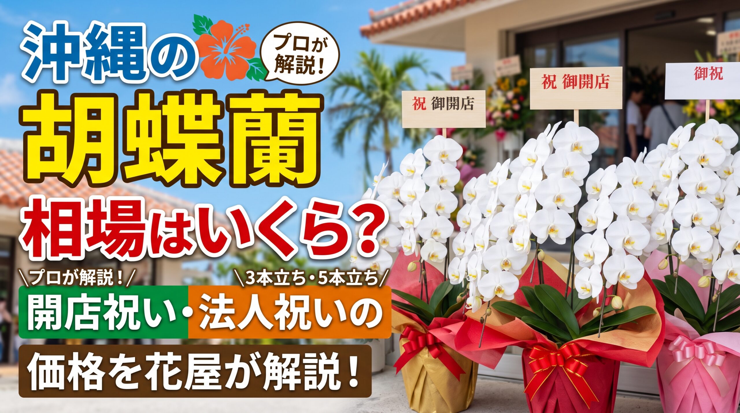 沖縄の胡蝶蘭の相場と、開店祝い・法人祝いの価格帯を解説するアイキャッチ画像