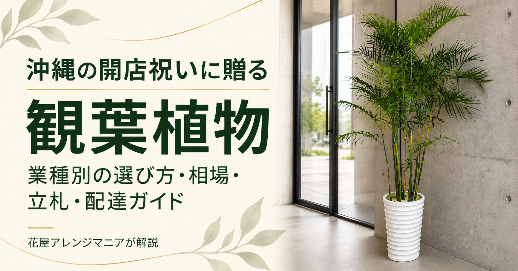 沖縄の開店祝いに贈る観葉植物。白い鉢の観葉植物と、業種別の選び方・相場・立札・配達ガイドの見出し
